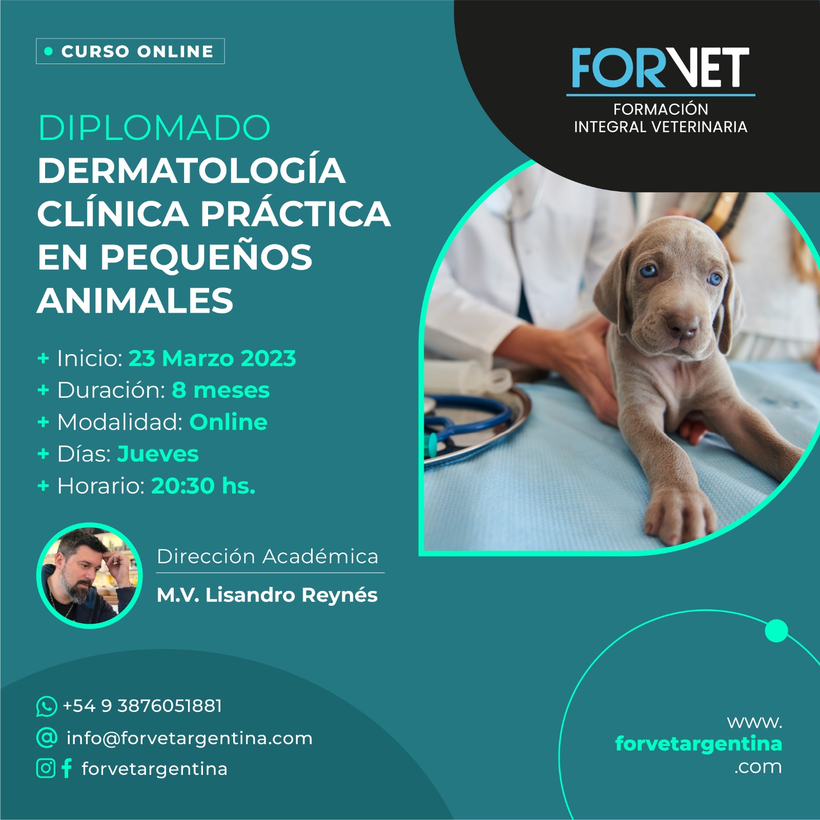 Diplomado en «Dermatología Práctica»