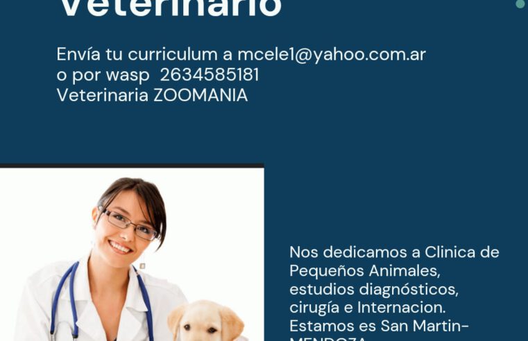 Oferta Laboral en San Martín