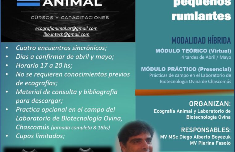 Curso «Ultrasonografía reproductiva en Pequeños Rumiantes»