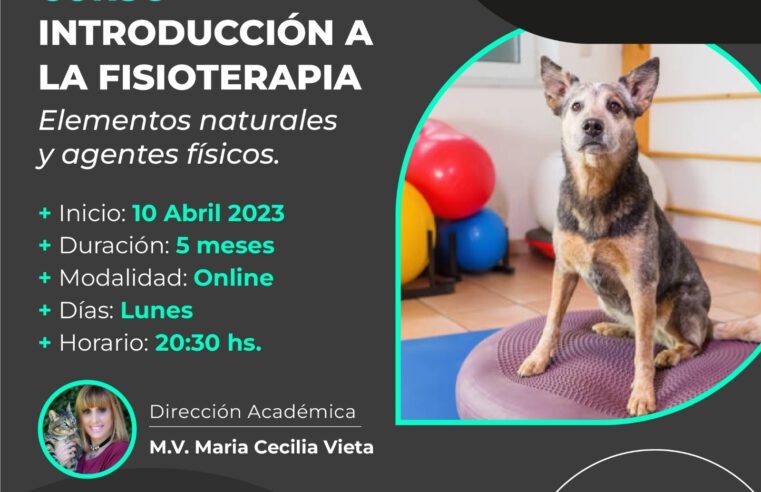 Curso «INTRODUCCIÓN A LA FISIOTERAPIA ELEMENTOS NATURALES- AGENTES FISICOS»