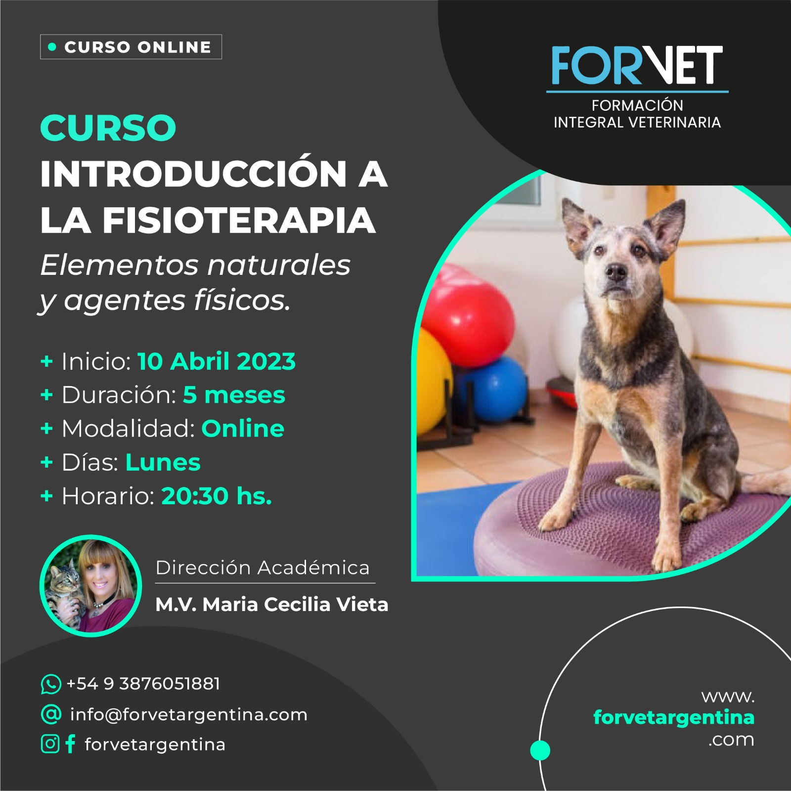 Curso «INTRODUCCIÓN A LA FISIOTERAPIA ELEMENTOS NATURALES- AGENTES FISICOS»