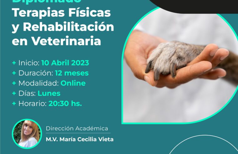 Diplomado de «TERAPIAS FÍSICAS Y REHABILITACIÓN EN VETERINARIA»