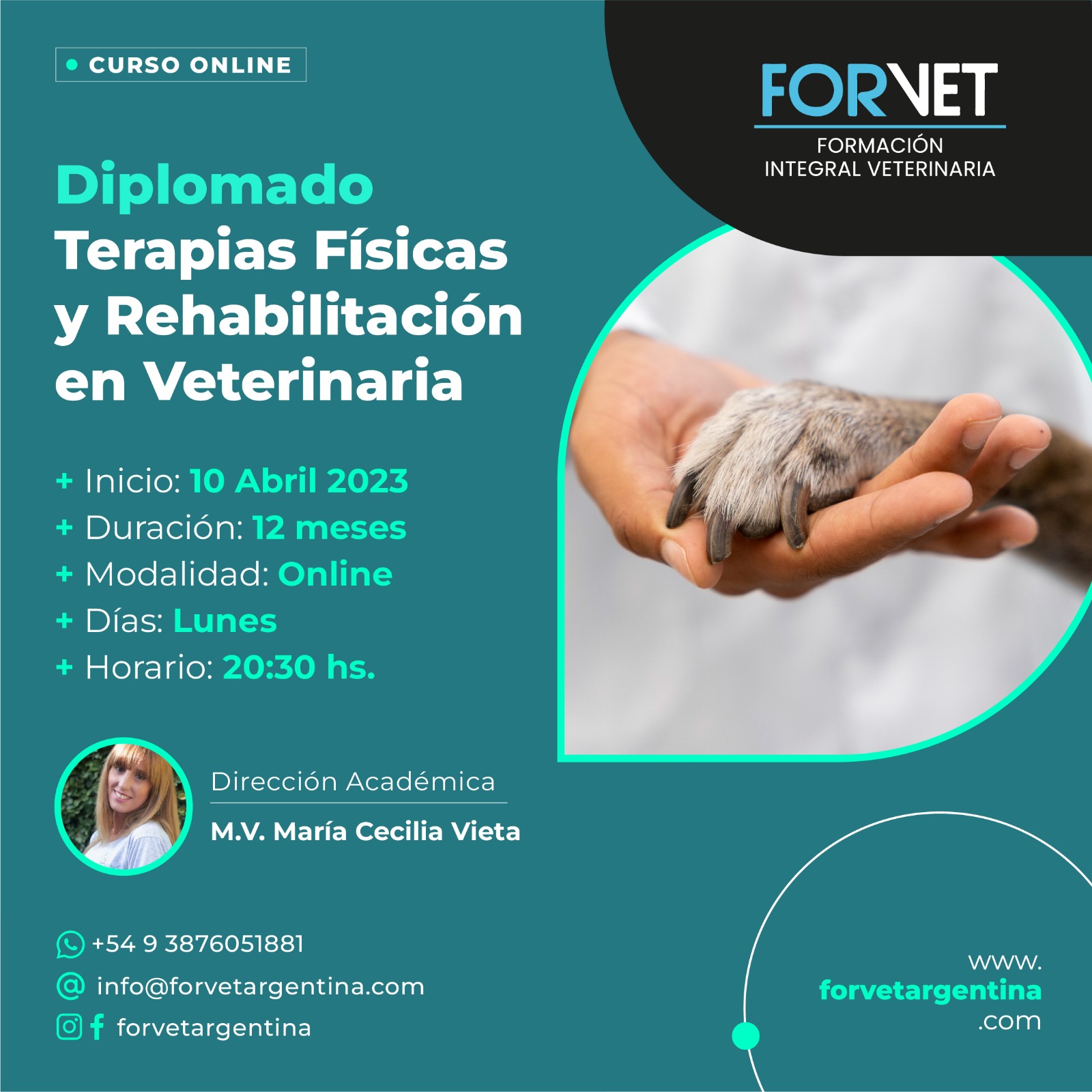 Diplomado de «TERAPIAS FÍSICAS Y REHABILITACIÓN EN VETERINARIA»