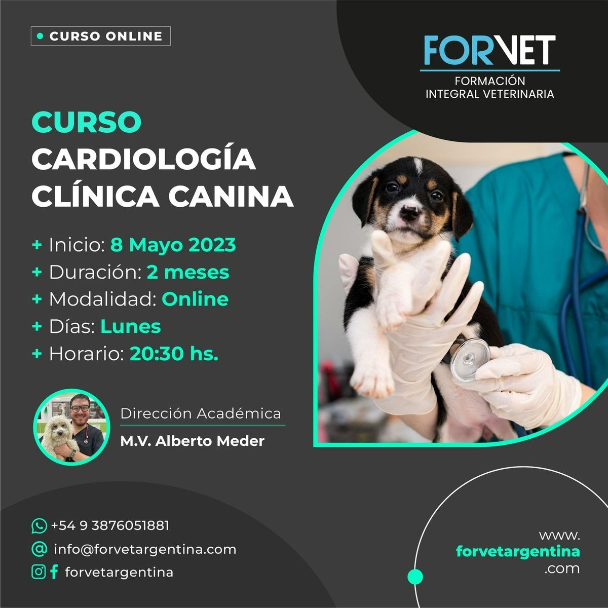 CURSO «CARDIOLOGÍA CLÍNICA EN CANINOS»