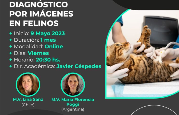 Curso de «DIAGNÓSTICO POR IMÁGENES EN MEDICINA FELINA»