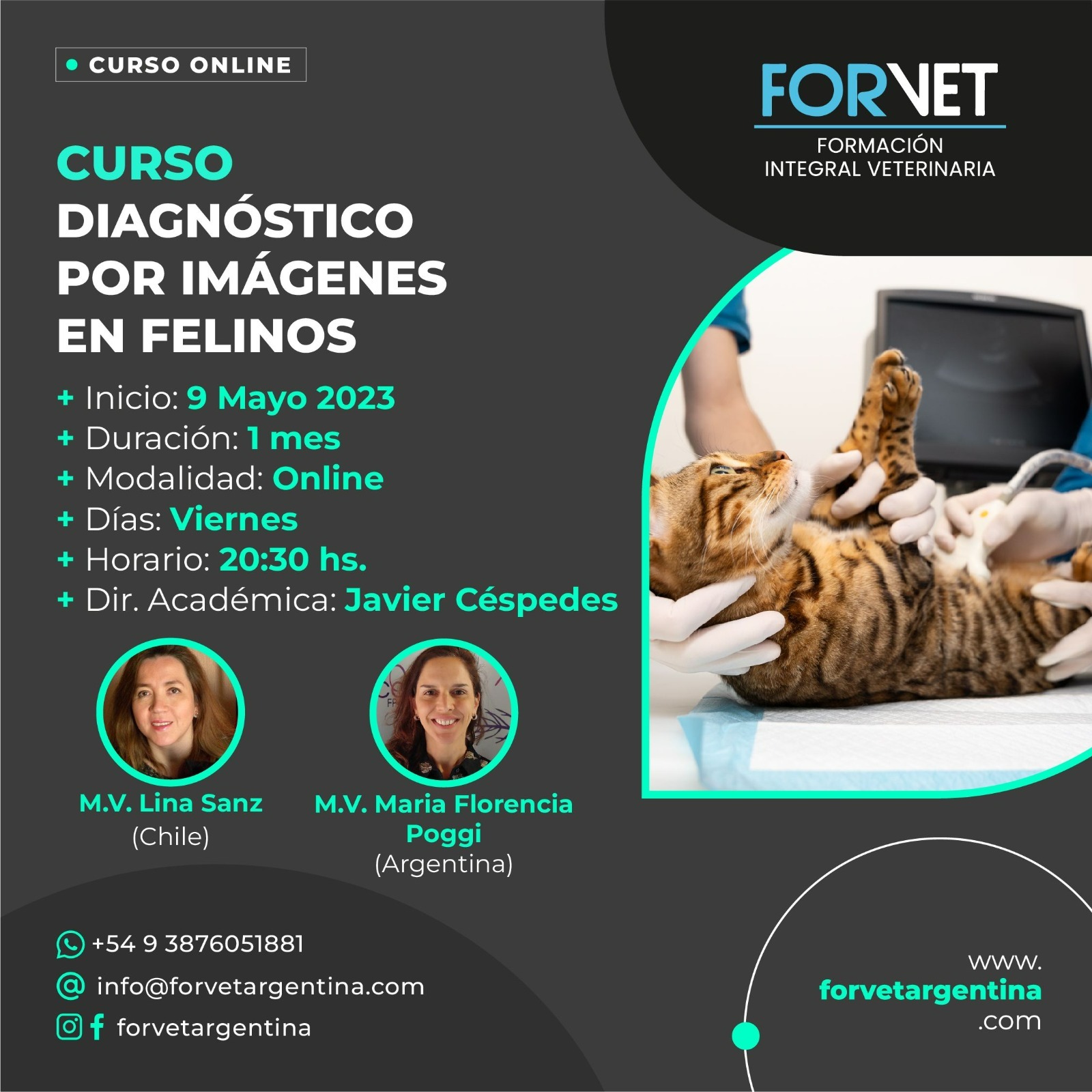 Curso de «DIAGNÓSTICO POR IMÁGENES EN MEDICINA FELINA»