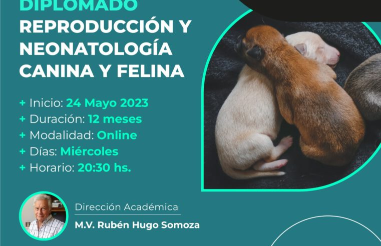 Diplomado en «REPRODUCCIÓN Y NEONATOLOGÍA DE CANINOS Y FELINOS»