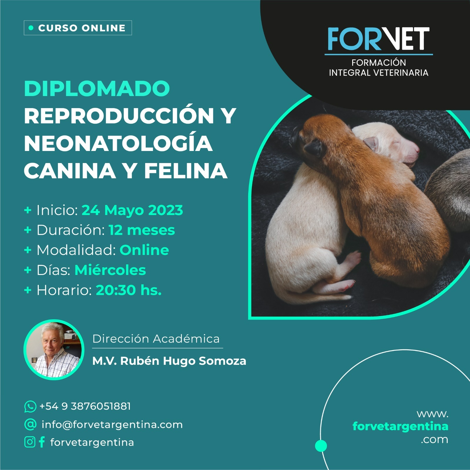 Diplomado en «REPRODUCCIÓN Y NEONATOLOGÍA DE CANINOS Y FELINOS»