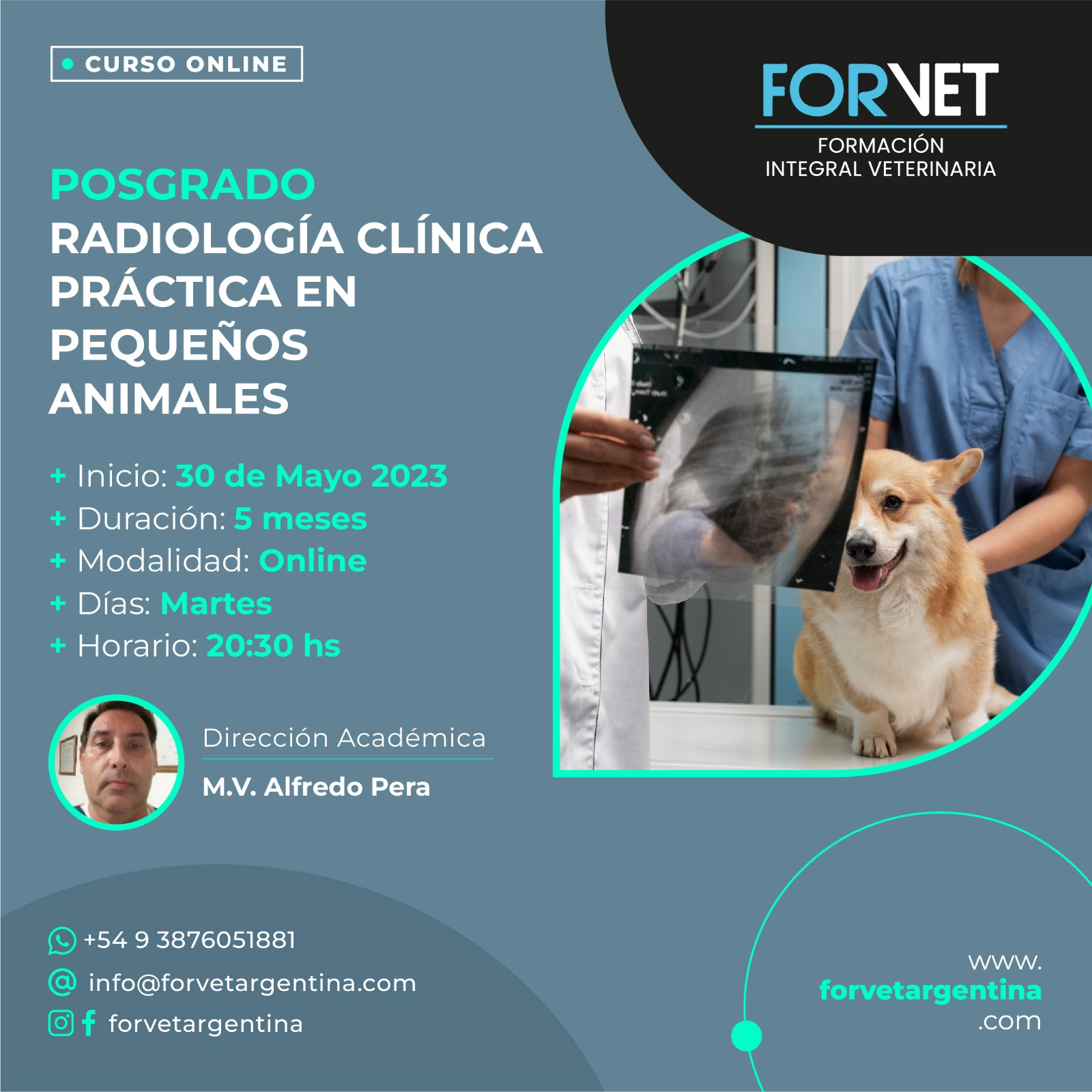 Posgrado «RADIOLOGÍA CLÍNICA EN PEQUEÑOS ANIMALES»