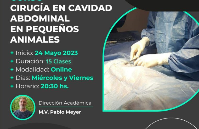 Curso «Cirugía en Cavidad Abdominal en Pequeños Animales»