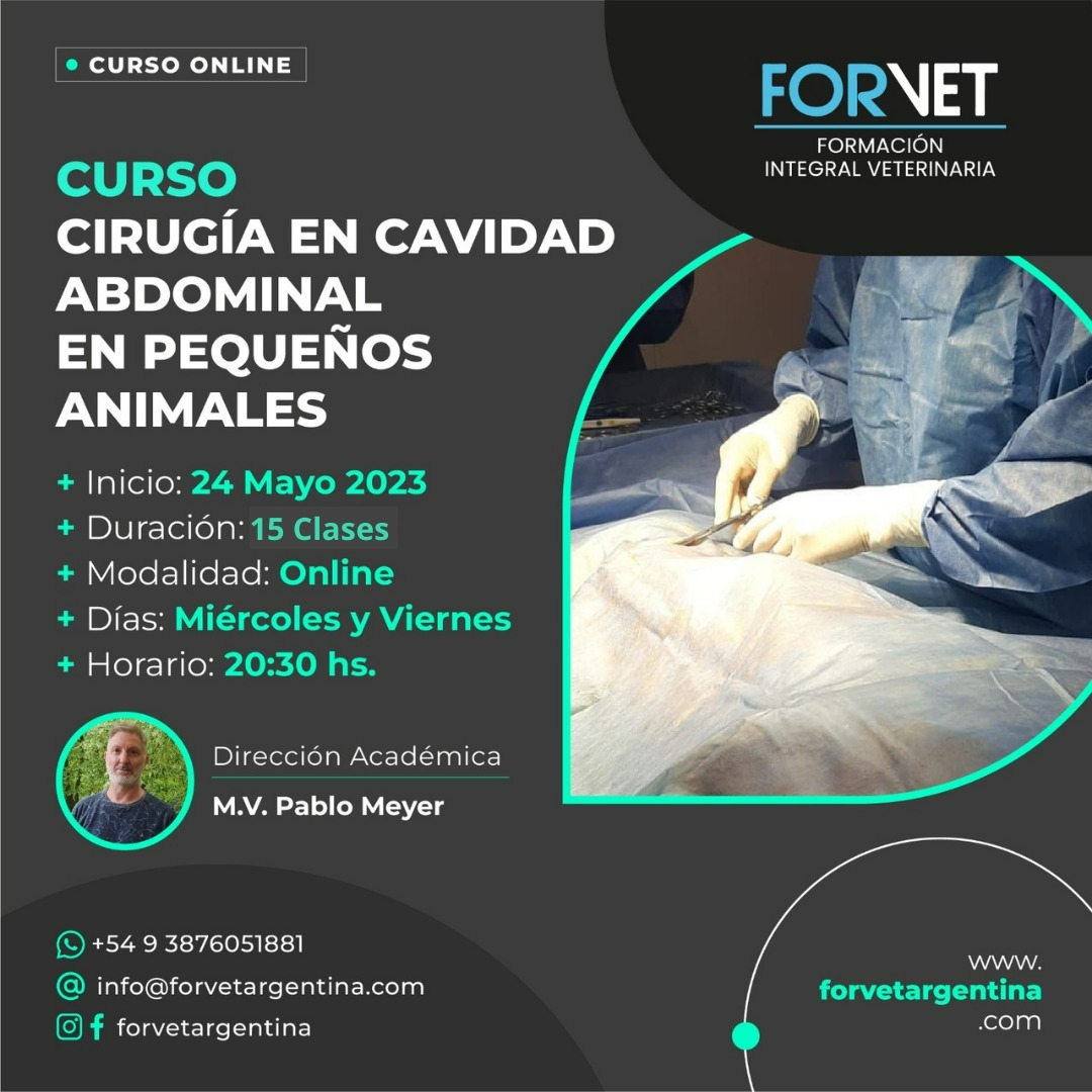 Curso «Cirugía en Cavidad Abdominal en Pequeños Animales»