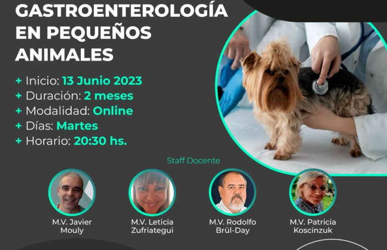 CURSO «GASTROENTEROLOGÍA EN PEQUEÑOS ANIMALES»