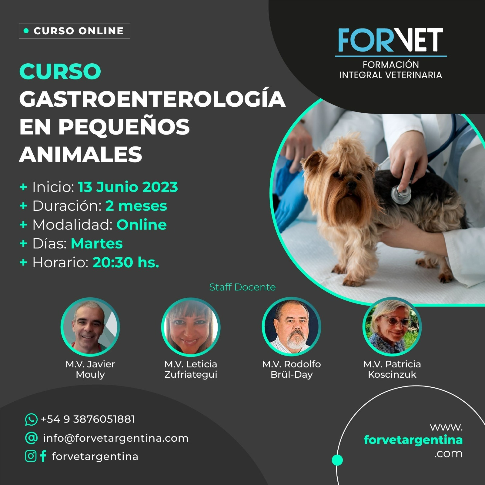 CURSO «GASTROENTEROLOGÍA EN PEQUEÑOS ANIMALES»