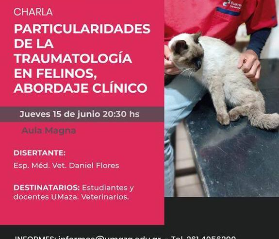 Charla «Particularidades de la traumatología en felinos»