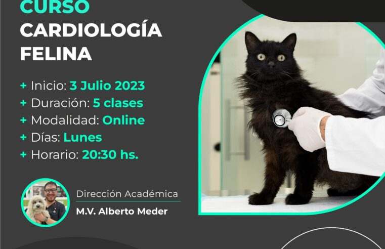 Curso «Cardiología Clínica en Felinos»