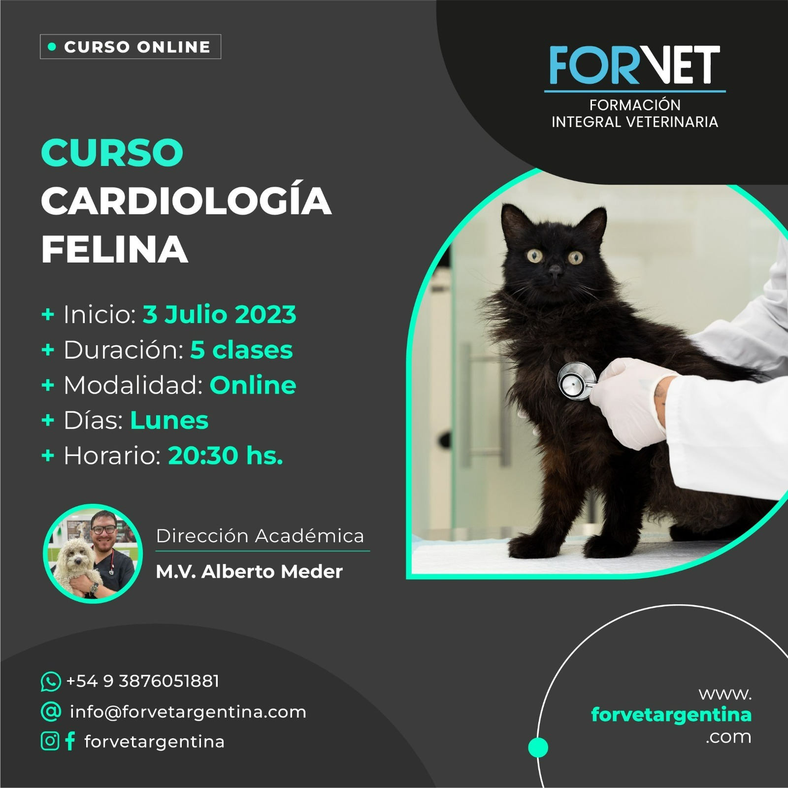 Curso «Cardiología Clínica en Felinos»