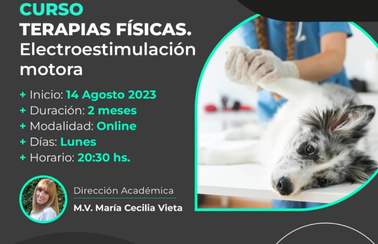 Curso: «Terapias Físicas. Electro estimulación motora».