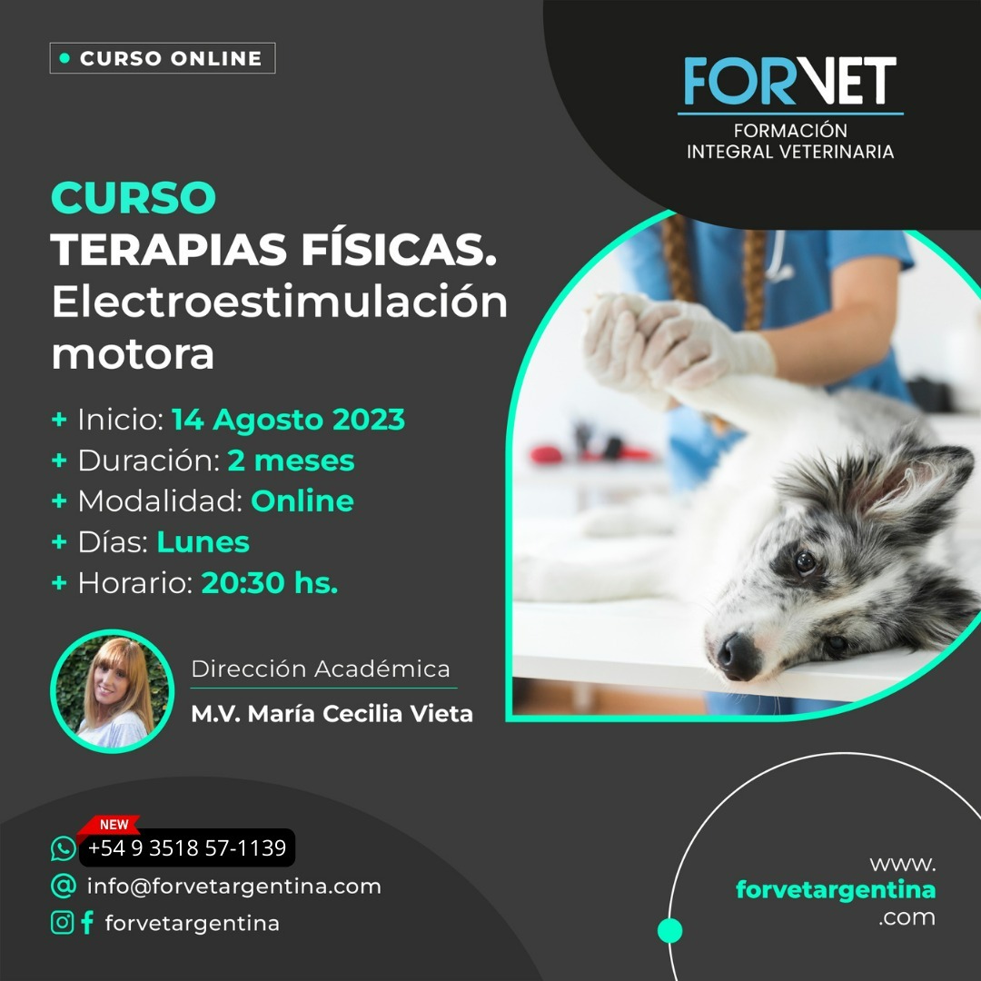 Curso: «Terapias Físicas. Electro estimulación motora».