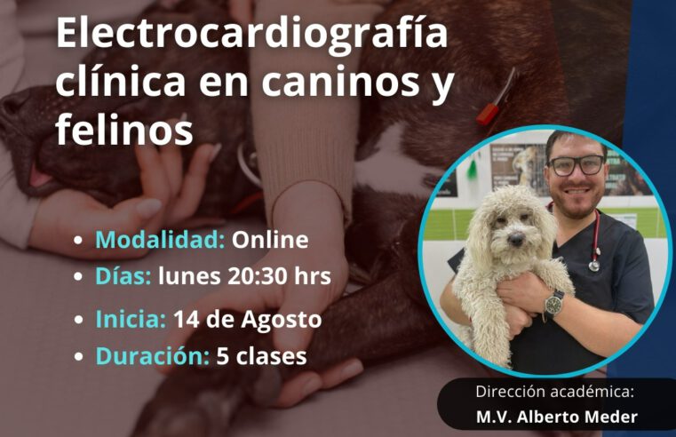 Curso «Electrocardiografía Clínica en Caninos y Felinos»