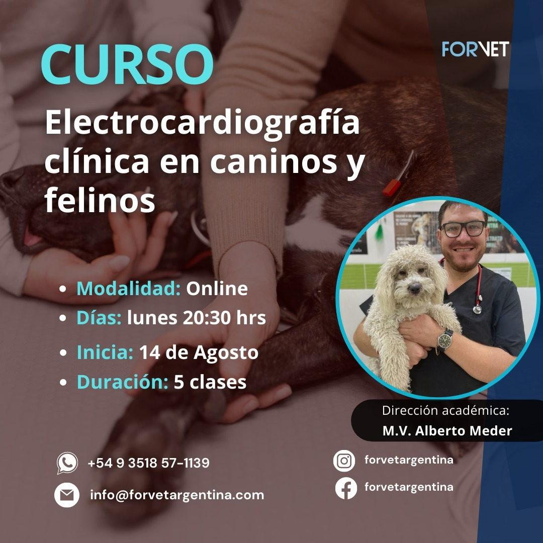 Curso «Electrocardiografía Clínica en Caninos y Felinos»