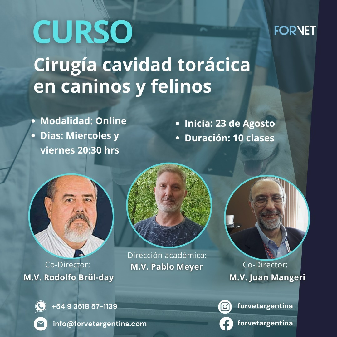 Curso «Cirugía Cavidad Torácica»