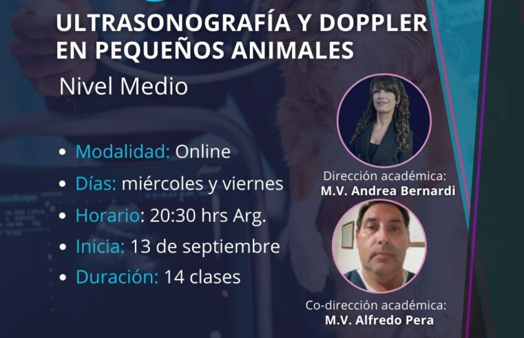 POSGRADO ULTRASONOGRAFÍA Y DOPPLER EN PEQUEÑOS ANIMALES