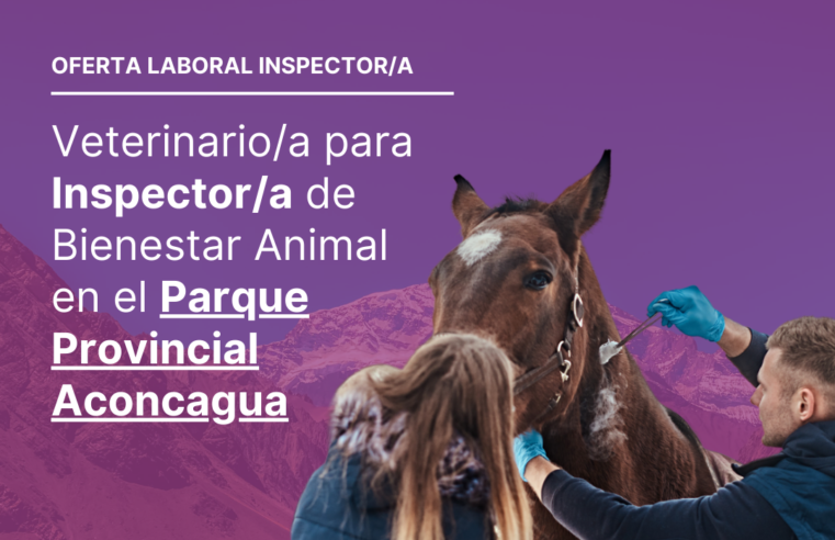 Aconcagua: Oferta laboral «Inspector/a Bienestar Animal»