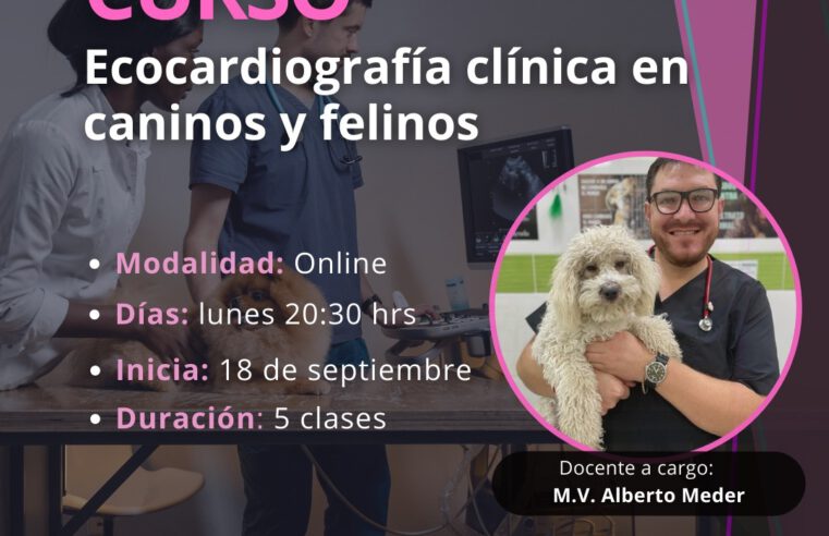 CURSO «ECOCARDIOGRAFÍA CLÍNICA»