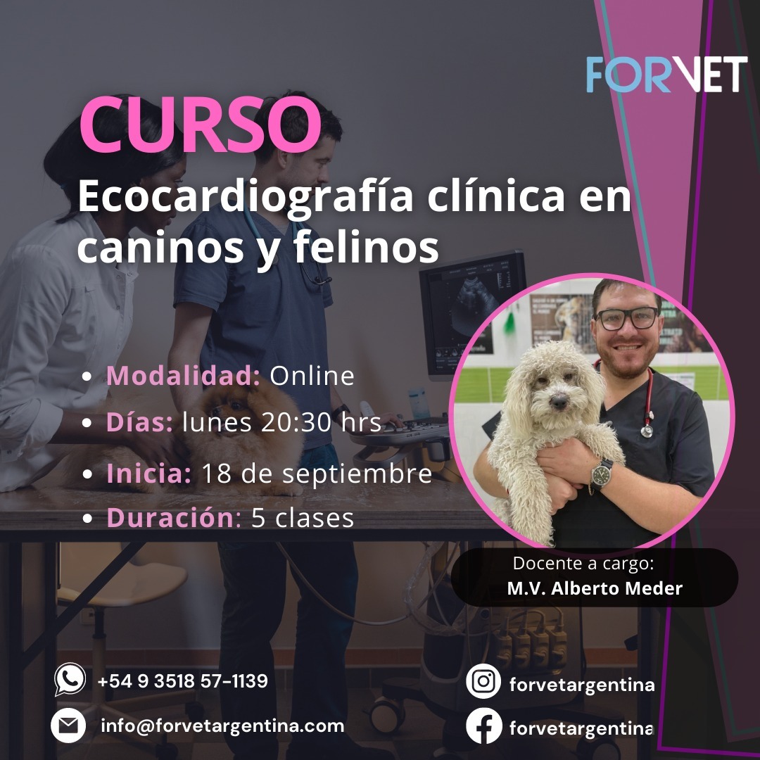 CURSO «ECOCARDIOGRAFÍA CLÍNICA»