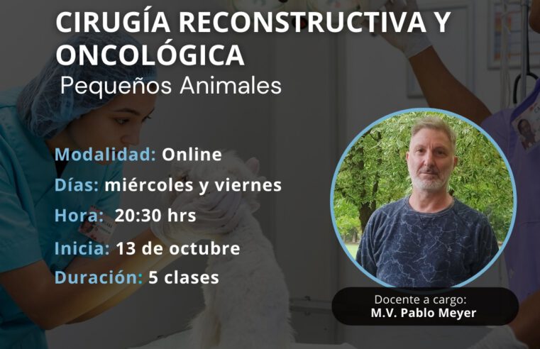 Curso «Cirugía Reconstructiva y Oncológica»