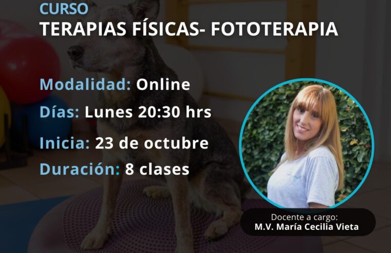 Curso «Terapias Físicas. Fototerapia»