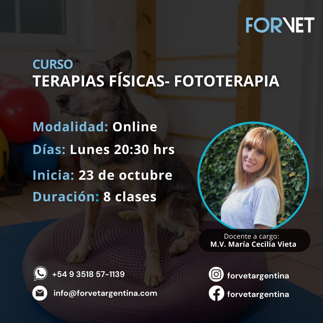 Curso «Terapias Físicas. Fototerapia»