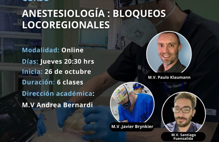 Curso «Anestesiología. Bloqueos Locoregionales»