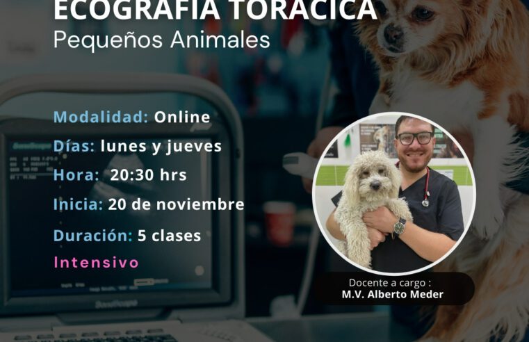 Curso «Ecografía Torácica»