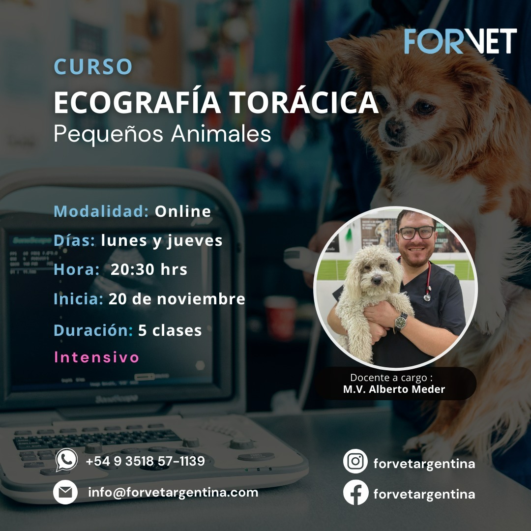 Curso «Ecografía Torácica»