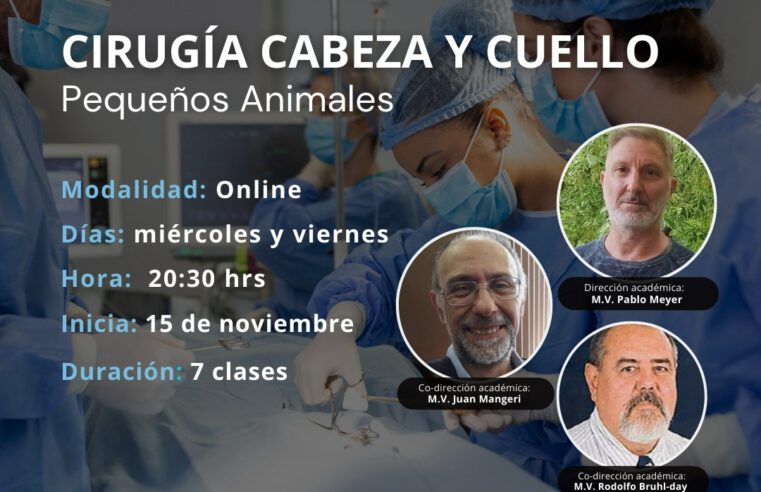 Curso «Cirugía cabeza y cuello en Pequeños Animales»