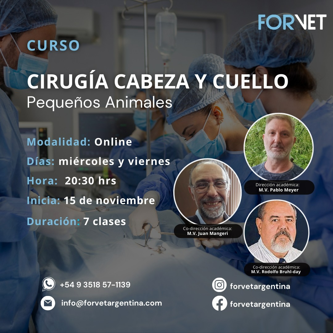 Curso «Cirugía cabeza y cuello en Pequeños Animales»