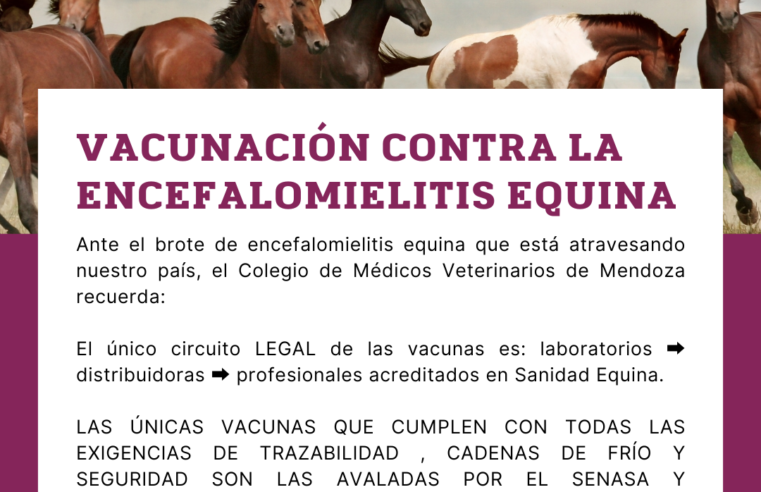 Listado de Profesionales Autorizados para vacunar contra la Encefaliomelitis Equina en Mendoza