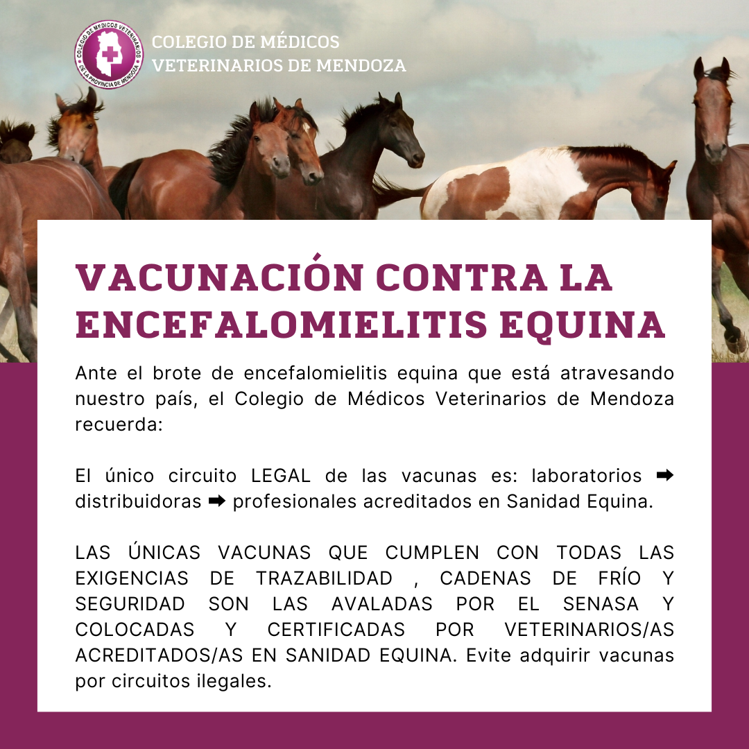 Listado de Profesionales Autorizados para vacunar contra la Encefaliomelitis Equina en Mendoza