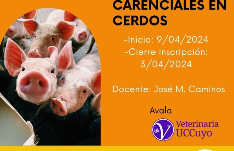 Curso «Enfermedades Metabólicas y Carenciales en cerdos»