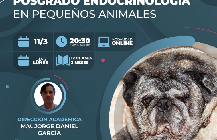 Posgrado «Endocrinología en Pequeños Animales»