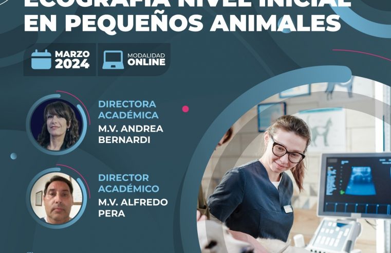 Posgrado «Ecografía Nivel Inicial en Pequeños Animales»