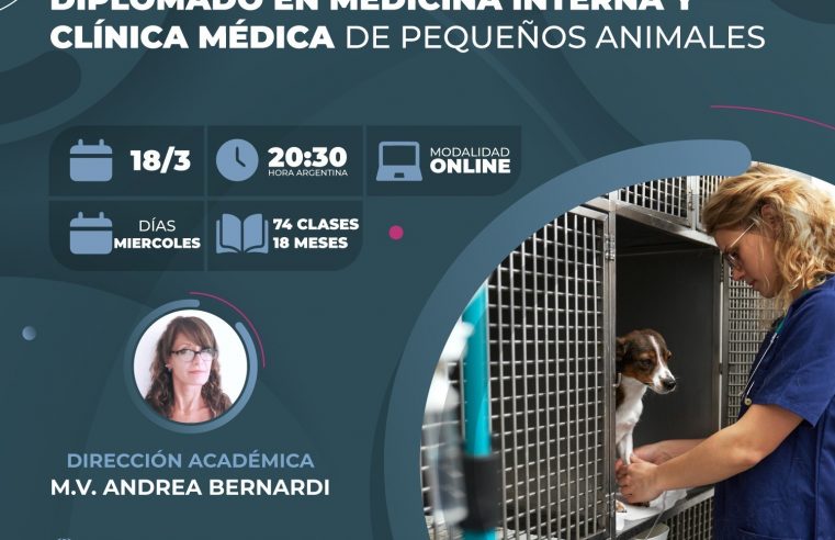 Diplomado en «Medicina Interna y Clínica Médica»