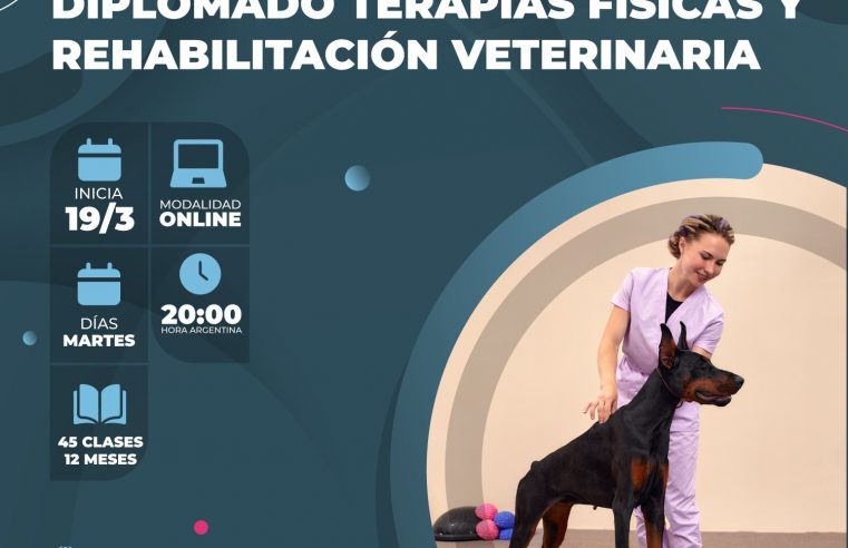 Diplomado en «Terapias Físicas y Rehabilitación en caninos y felinos»