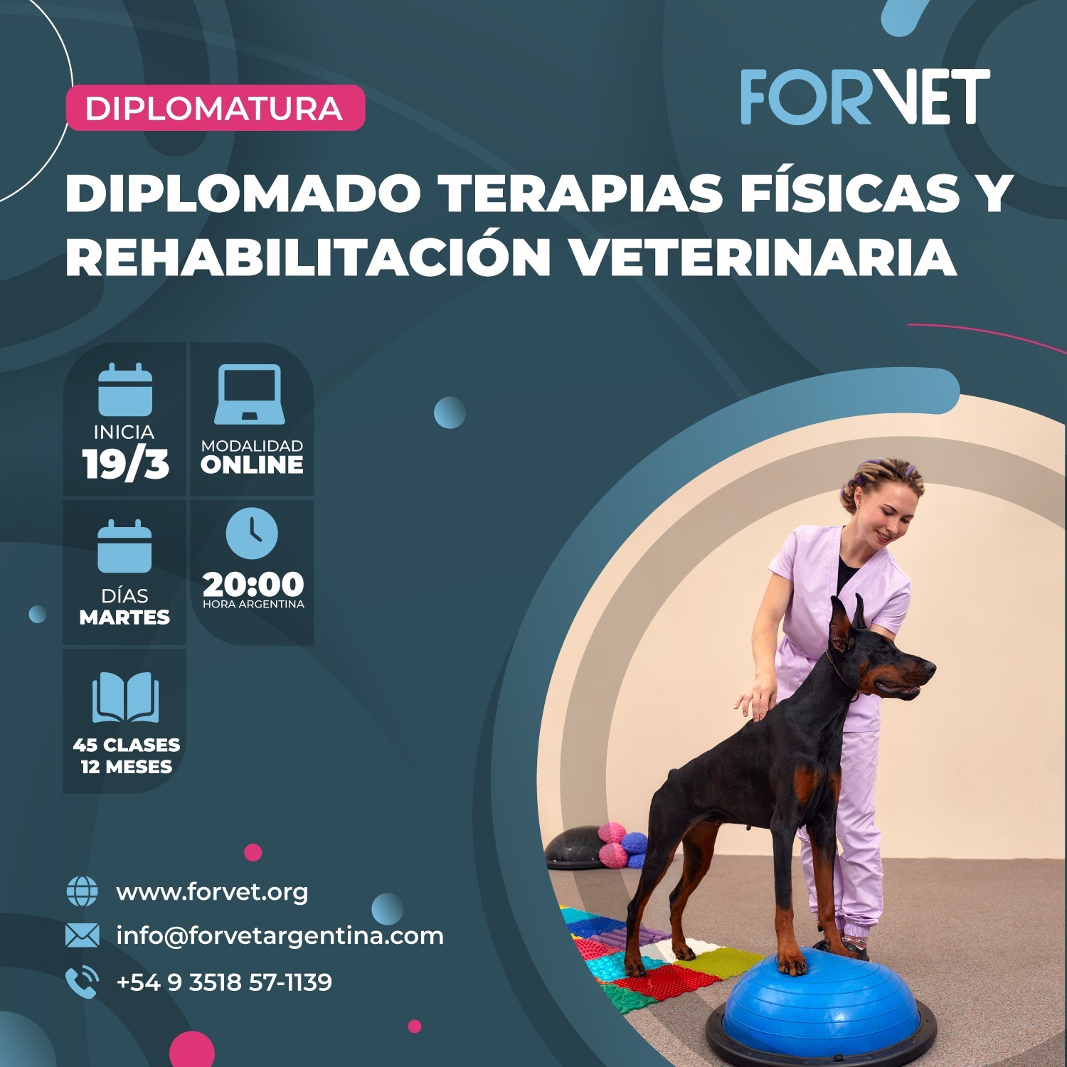 Diplomado en «Terapias Físicas y Rehabilitación en caninos y felinos»