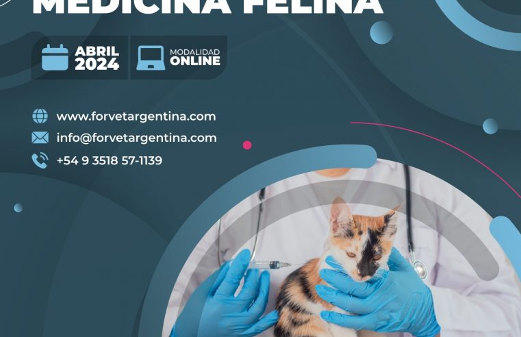 Diplomado en «Medicina Felina»