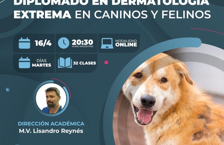 Diplomado en «Dermatología Extrema en Caninos y Felinos»