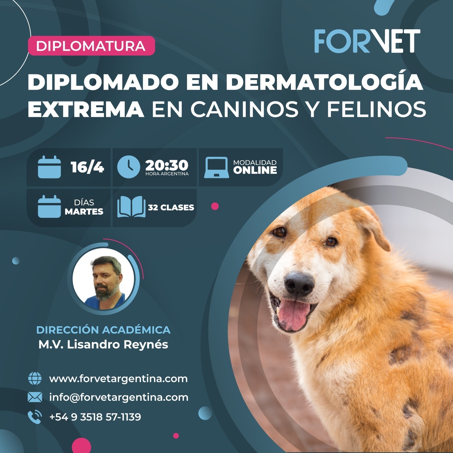 Diplomado en «Dermatología Extrema en Caninos y Felinos»