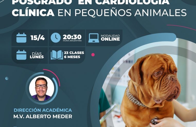 Posgrado en «Cardiología en Pequeños Animales»