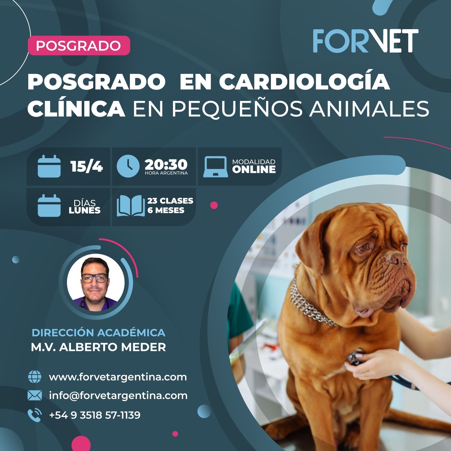 Posgrado en «Cardiología en Pequeños Animales»